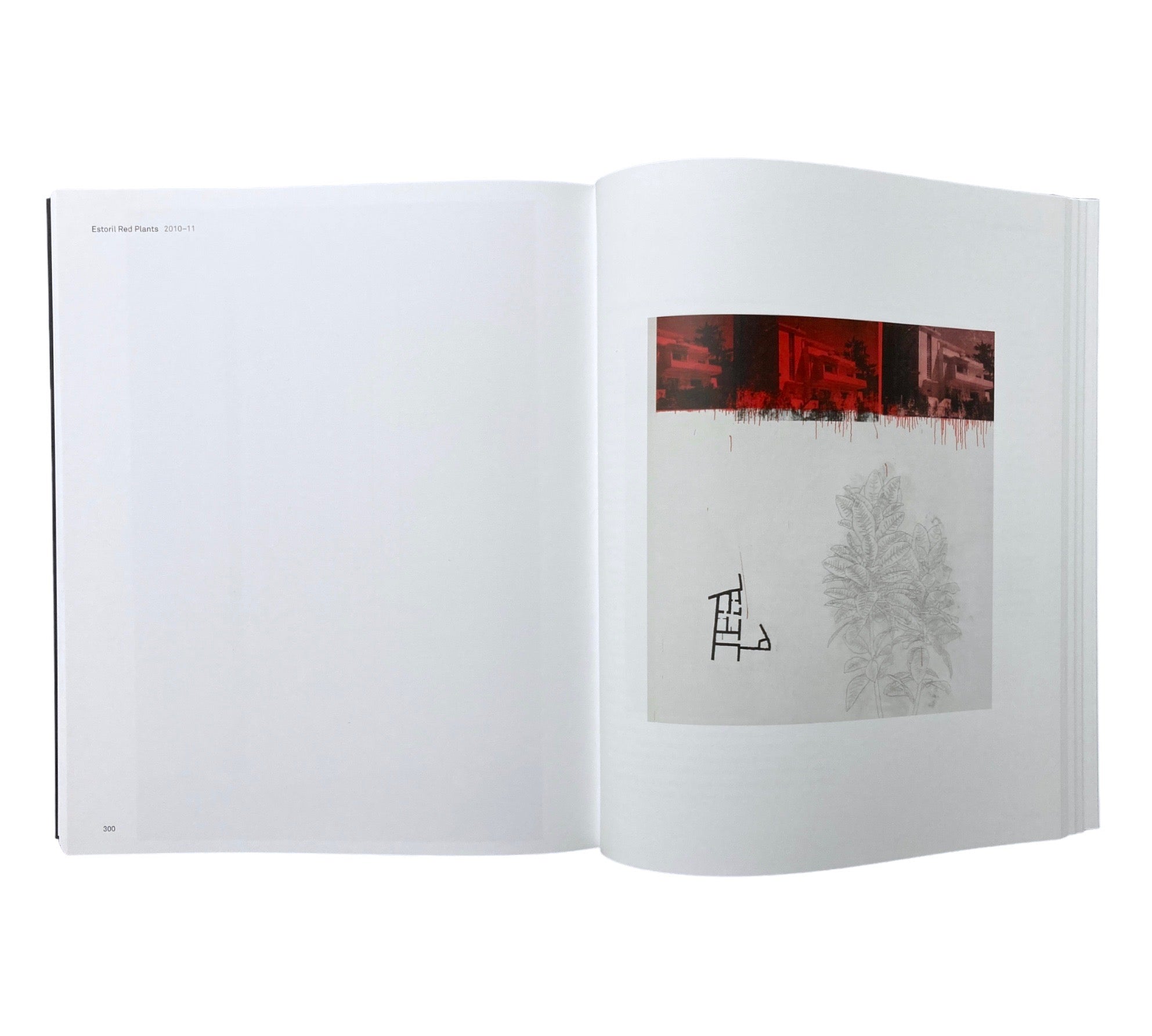 Julião Sarmento: White Nights - A Retrospective