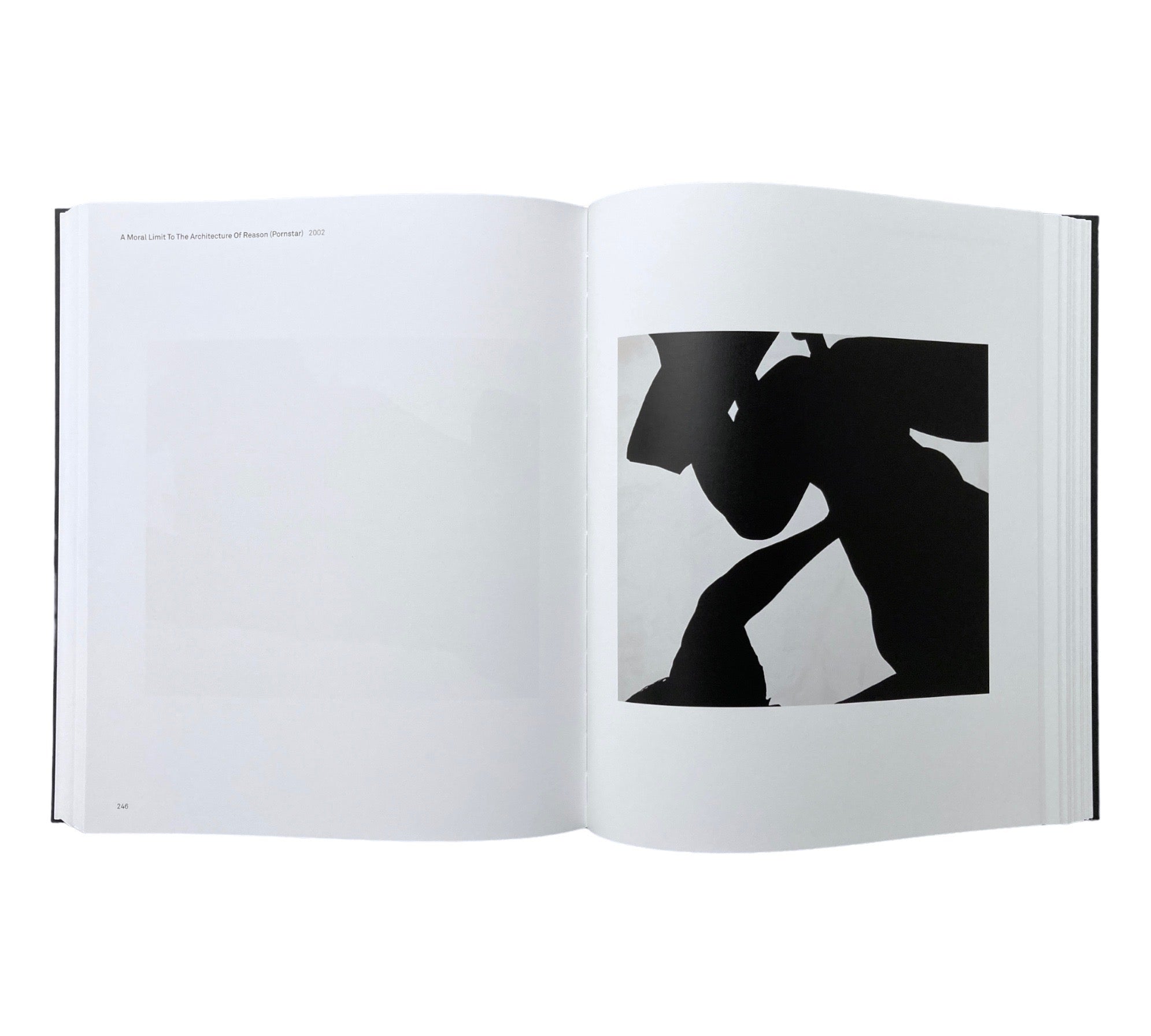 Julião Sarmento: White Nights - A Retrospective