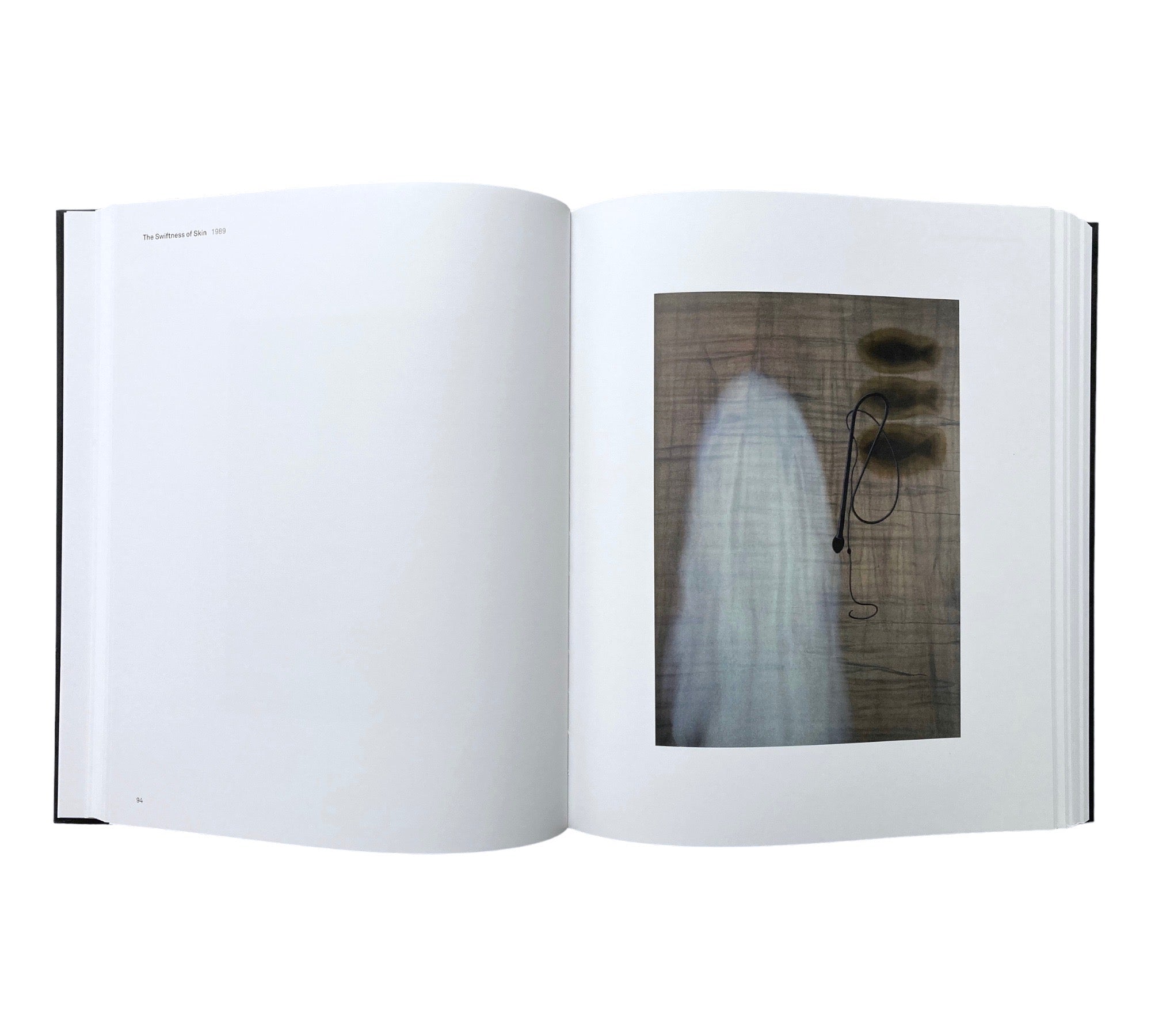 Julião Sarmento: White Nights - A Retrospective