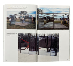 Dan Graham (The Roof Garden Commission)