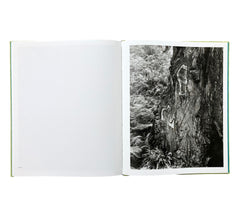 Kirk Crippens & Gretchen LeMaistre: Live Burls