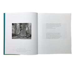 Kirk Crippens & Gretchen LeMaistre: Live Burls