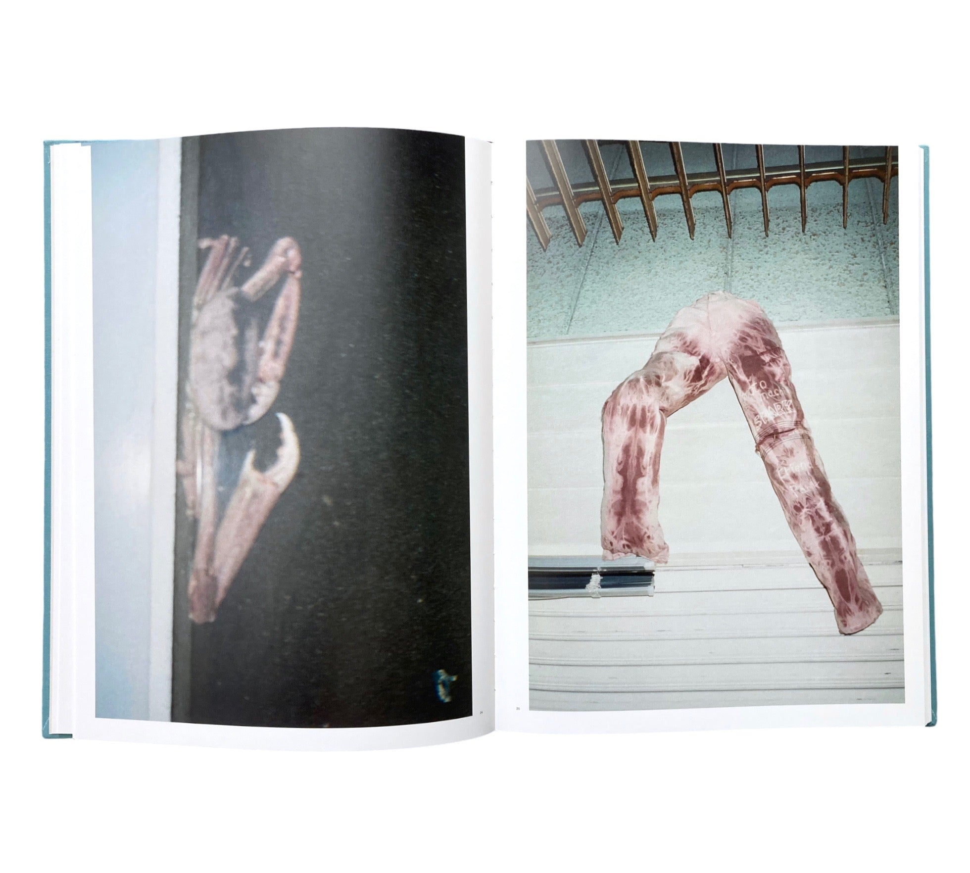 Stephen Gill: Coming up for Air
