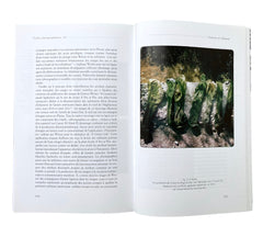 Études Photographiques: Issue 29
