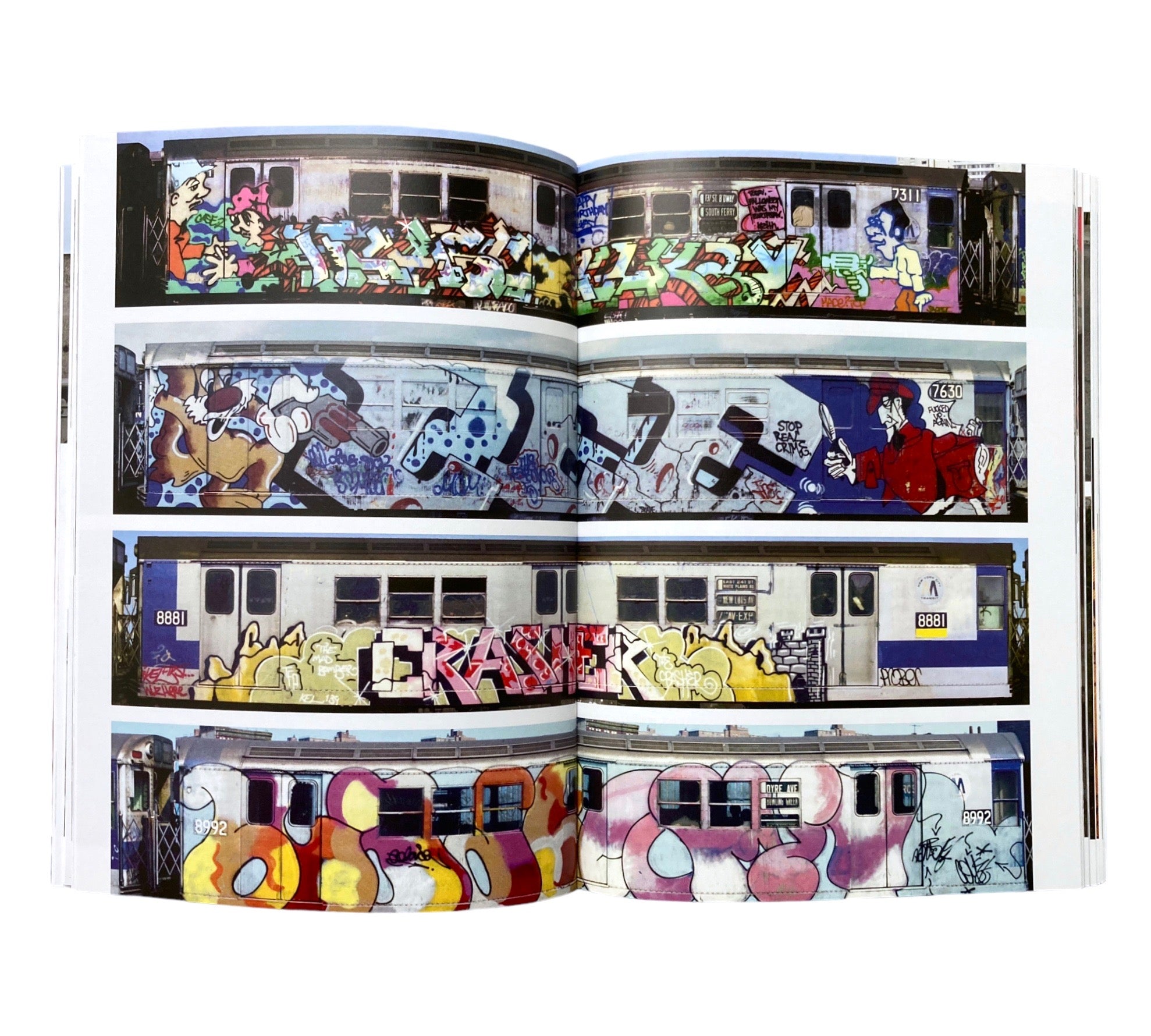 Graffiti and Street Art (World of Art)