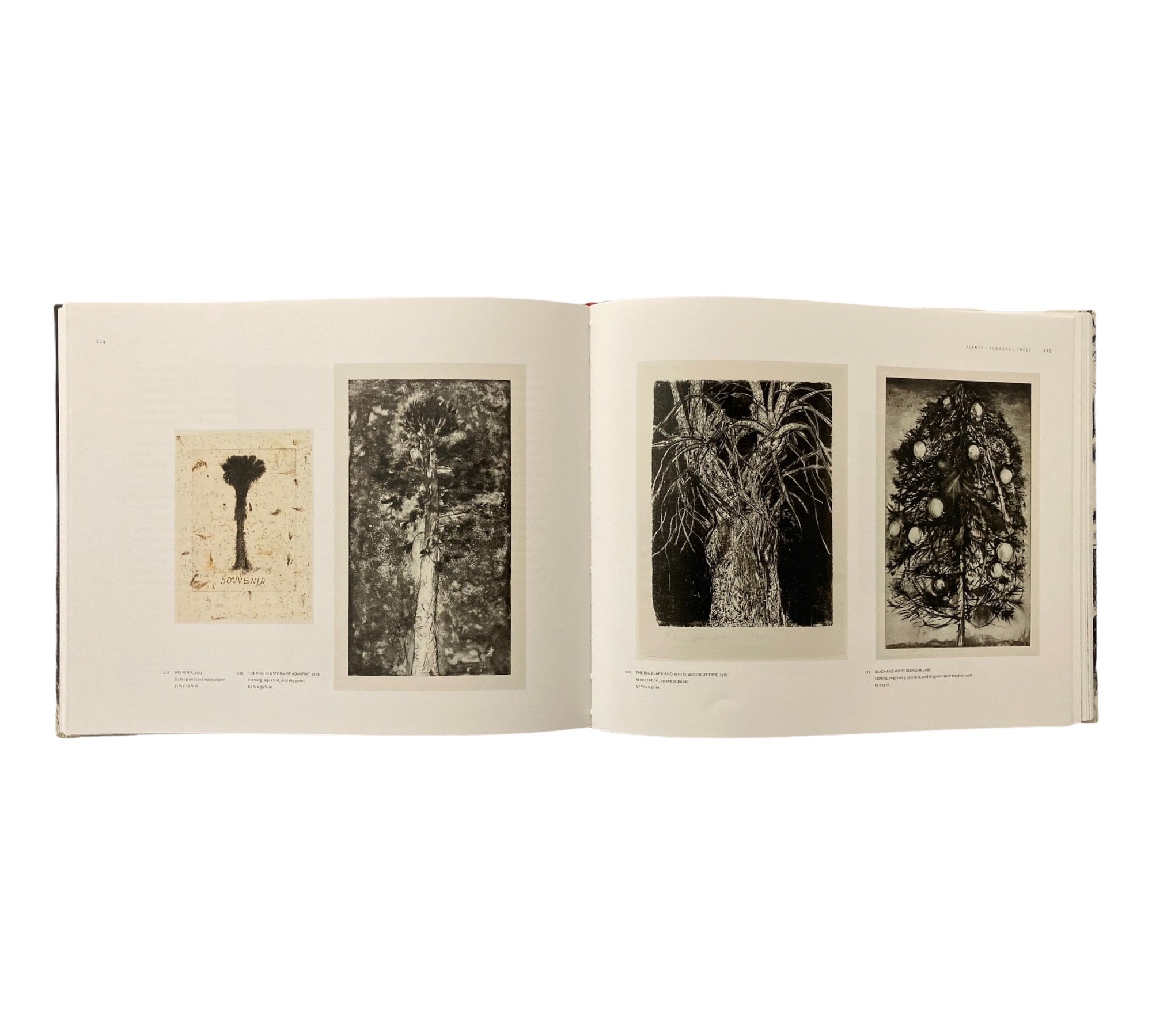Jim Dine Printmaker: Leaving My Tracks