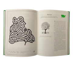 The Maze: A Labyrinthine Compendium