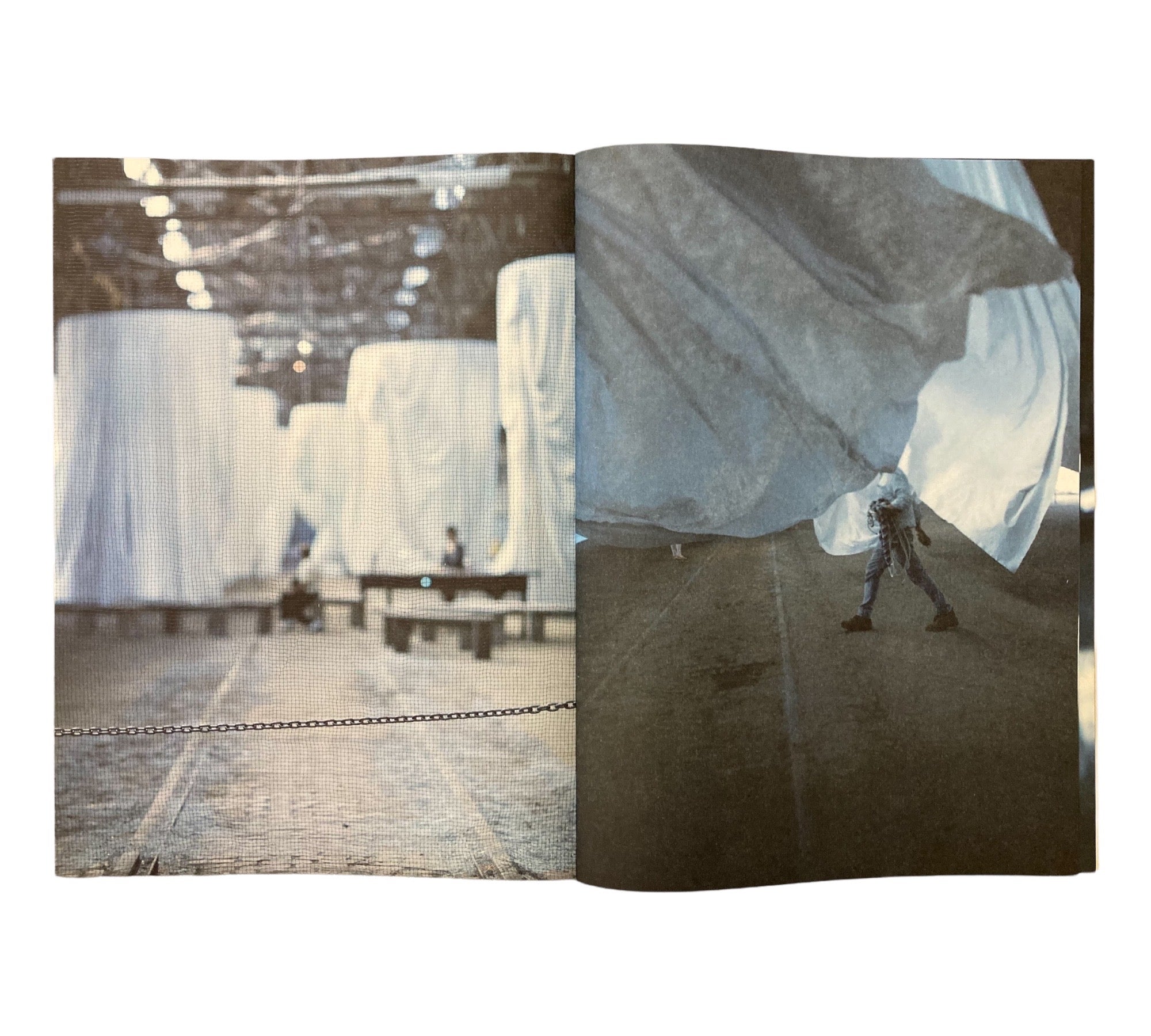 Ann Hamilton: Habitus