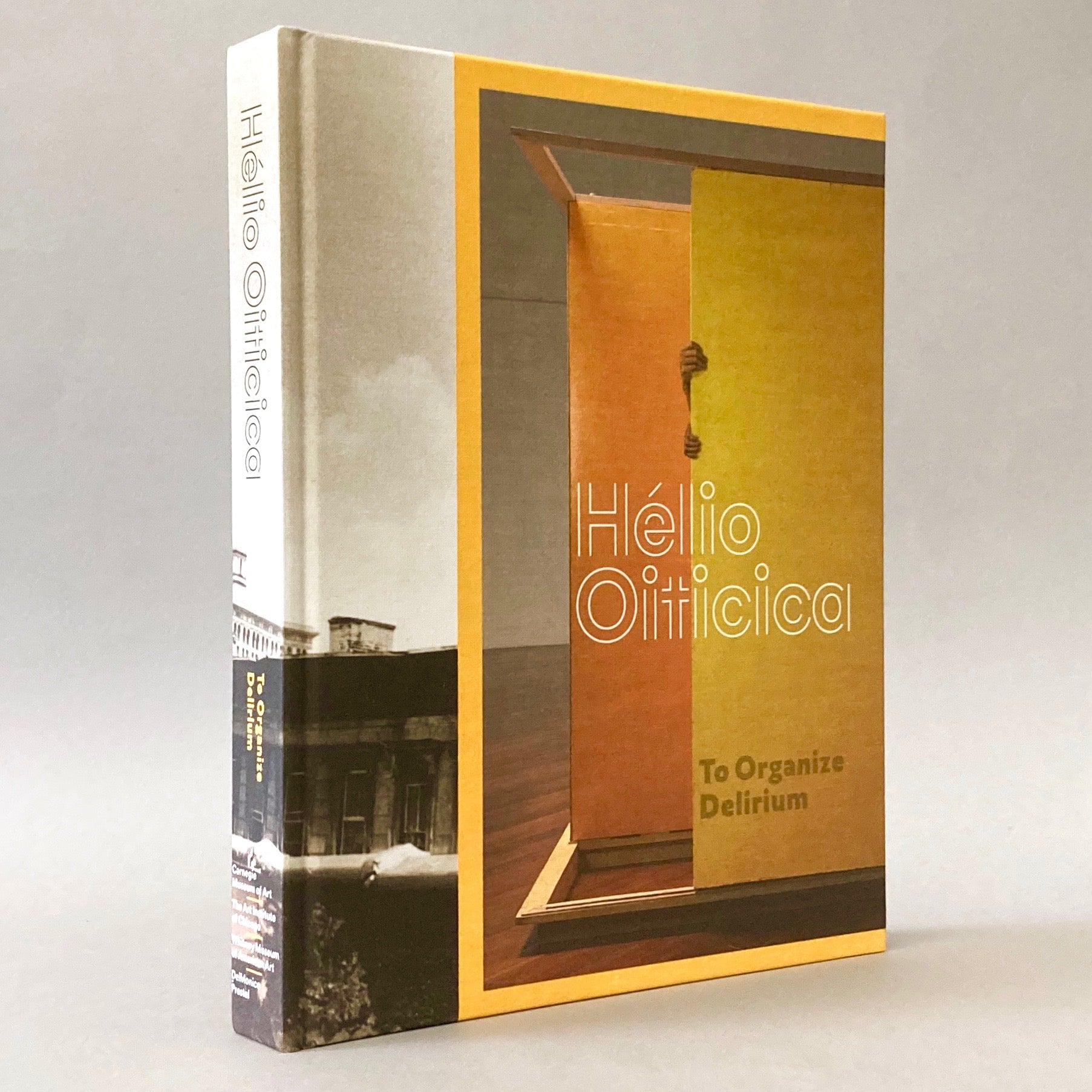 Helio Oiticica To Organize Delirium Books About Art