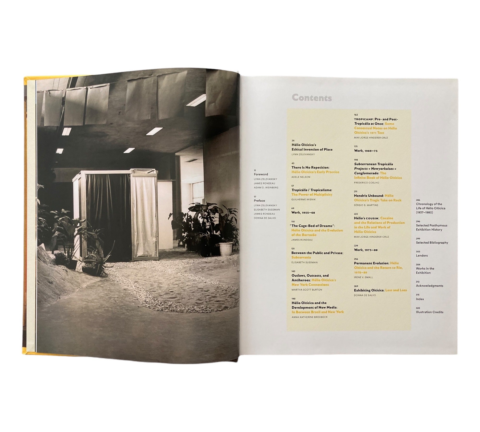 Helio Oiticica: To Organize Delirium