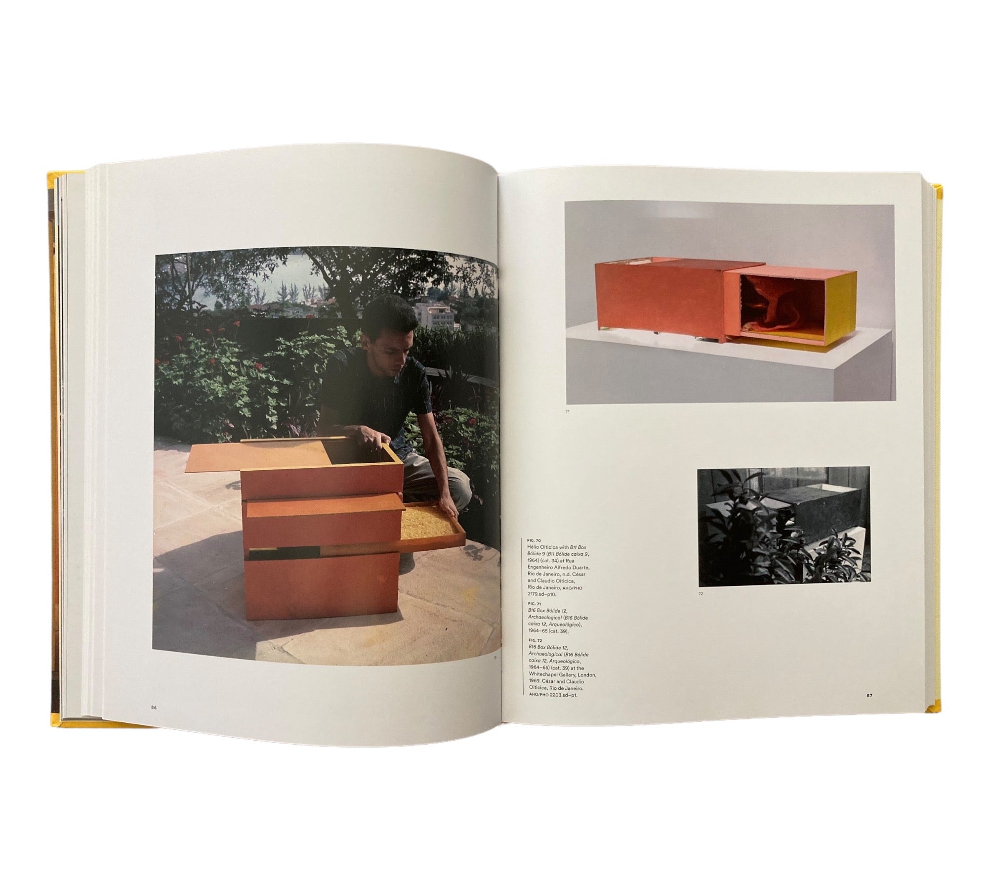 Helio Oiticica: To Organize Delirium