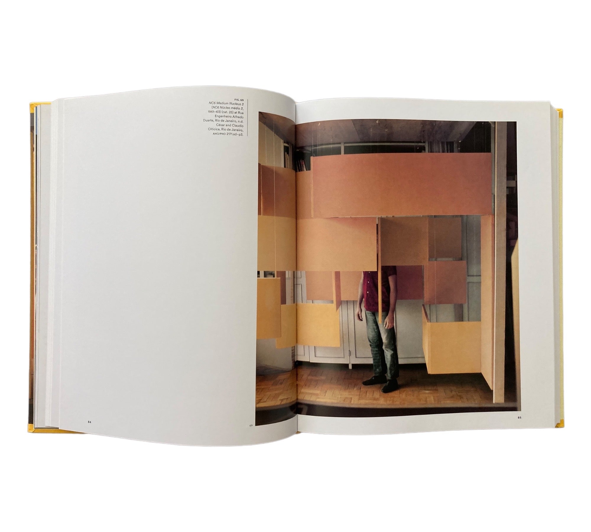 Helio Oiticica: To Organize Delirium