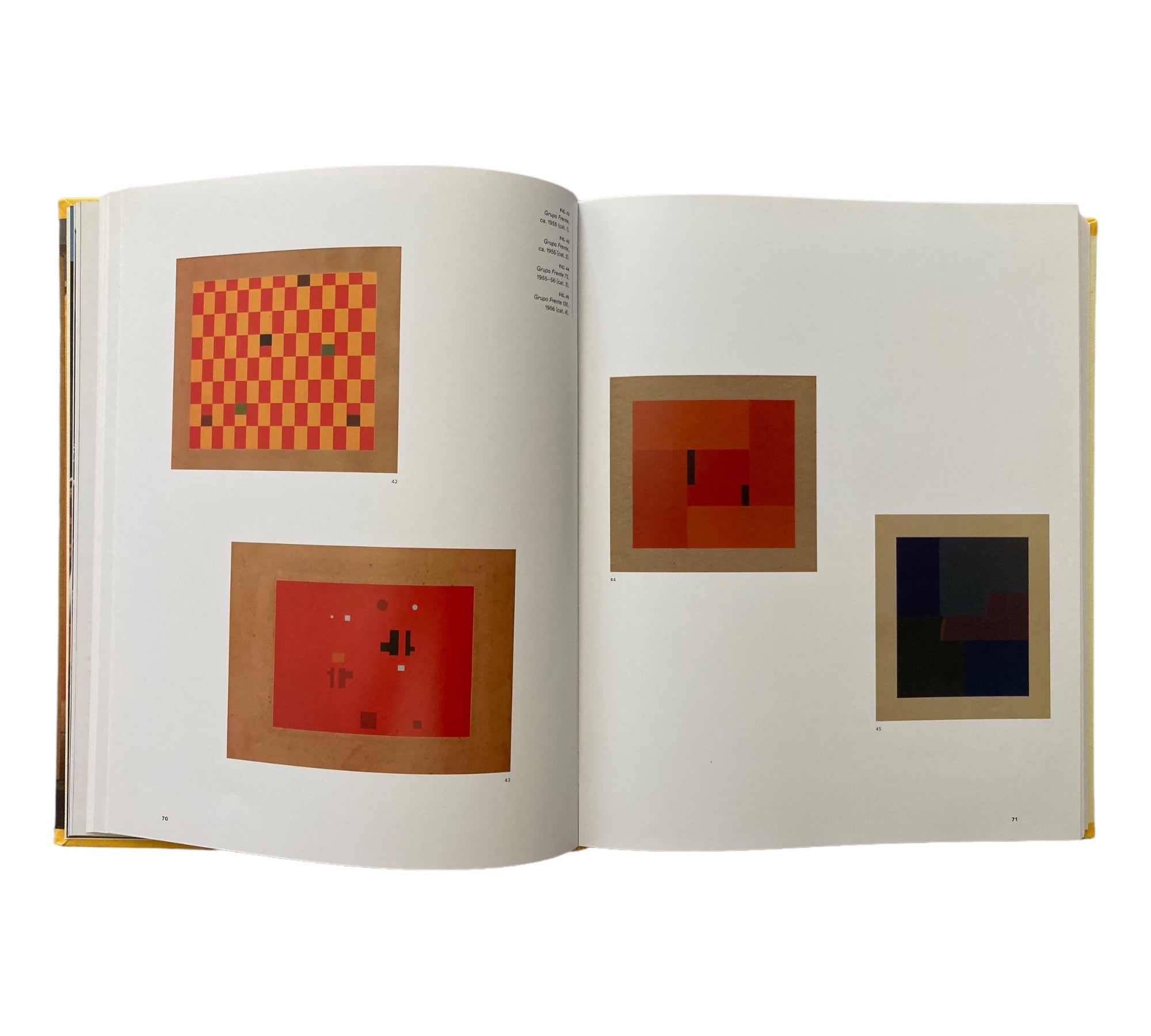 Helio Oiticica: To Organize Delirium