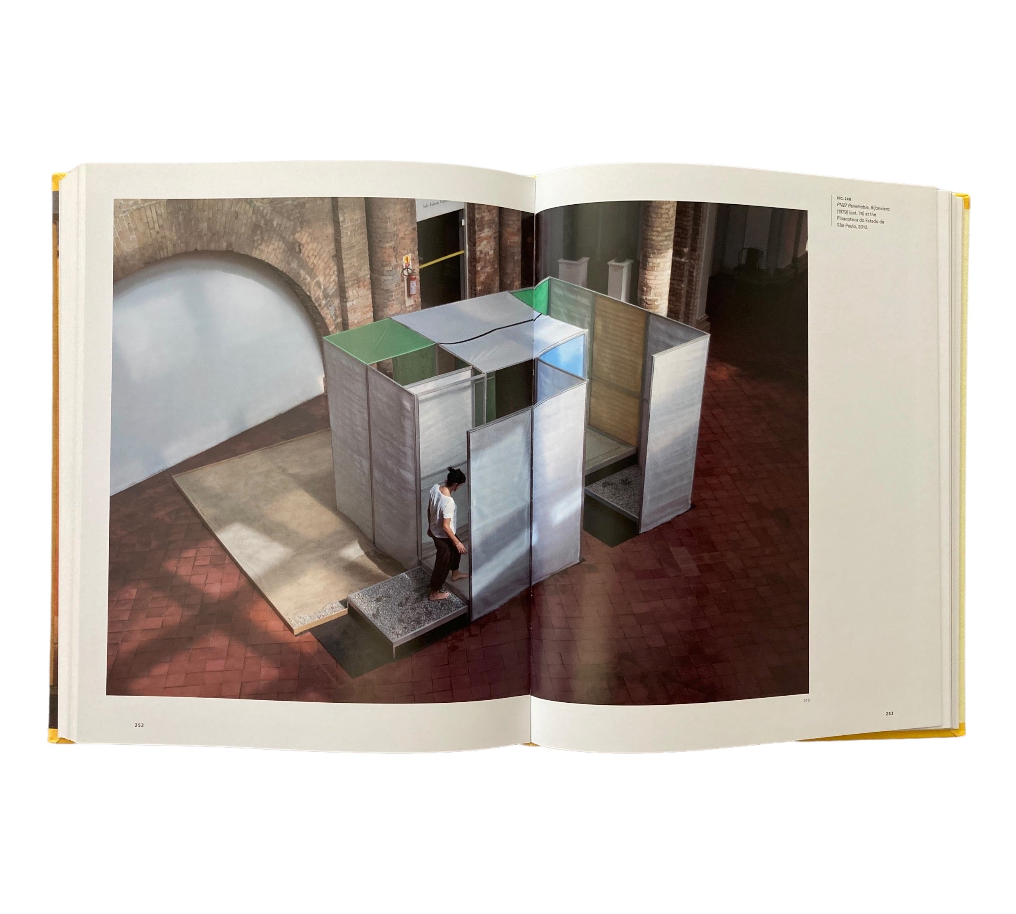 Helio Oiticica: To Organize Delirium