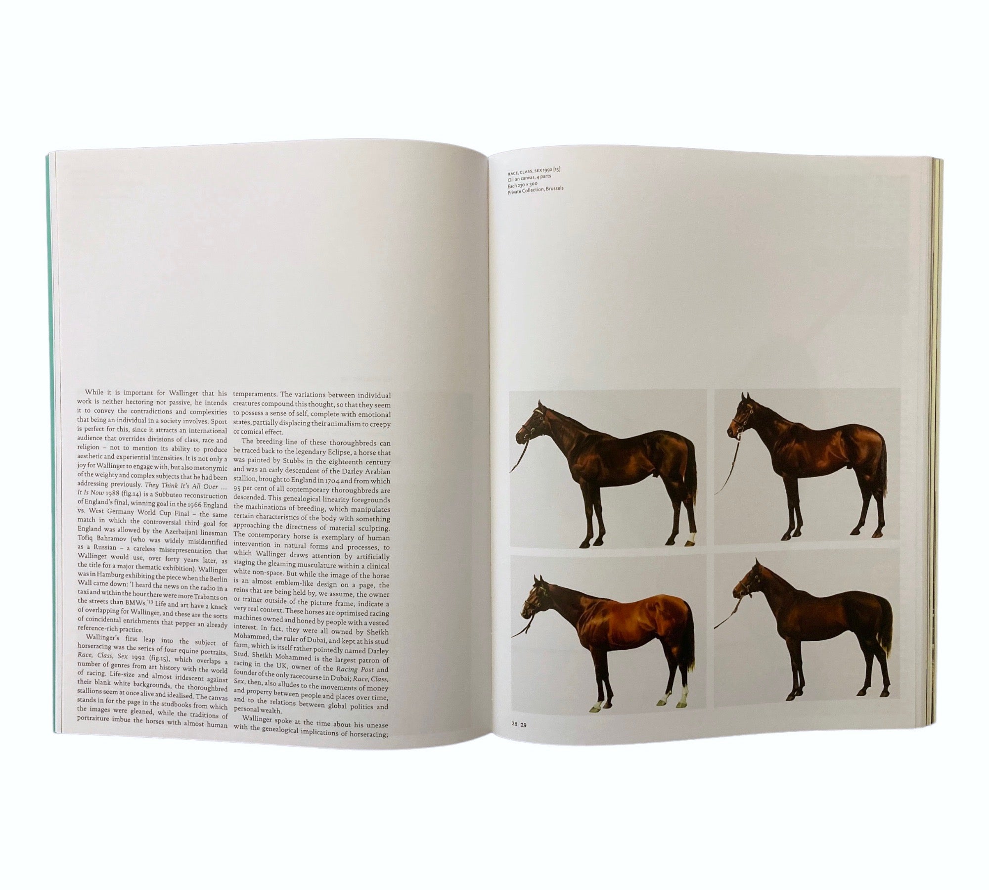 Mark Wallinger (Modern Artists Series)