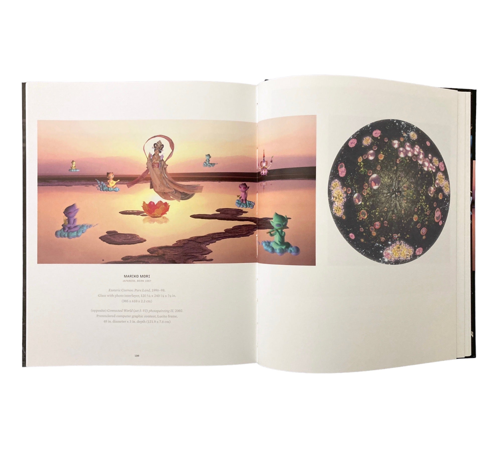 The Digital Eye: Photographic Art in the Electronic Age