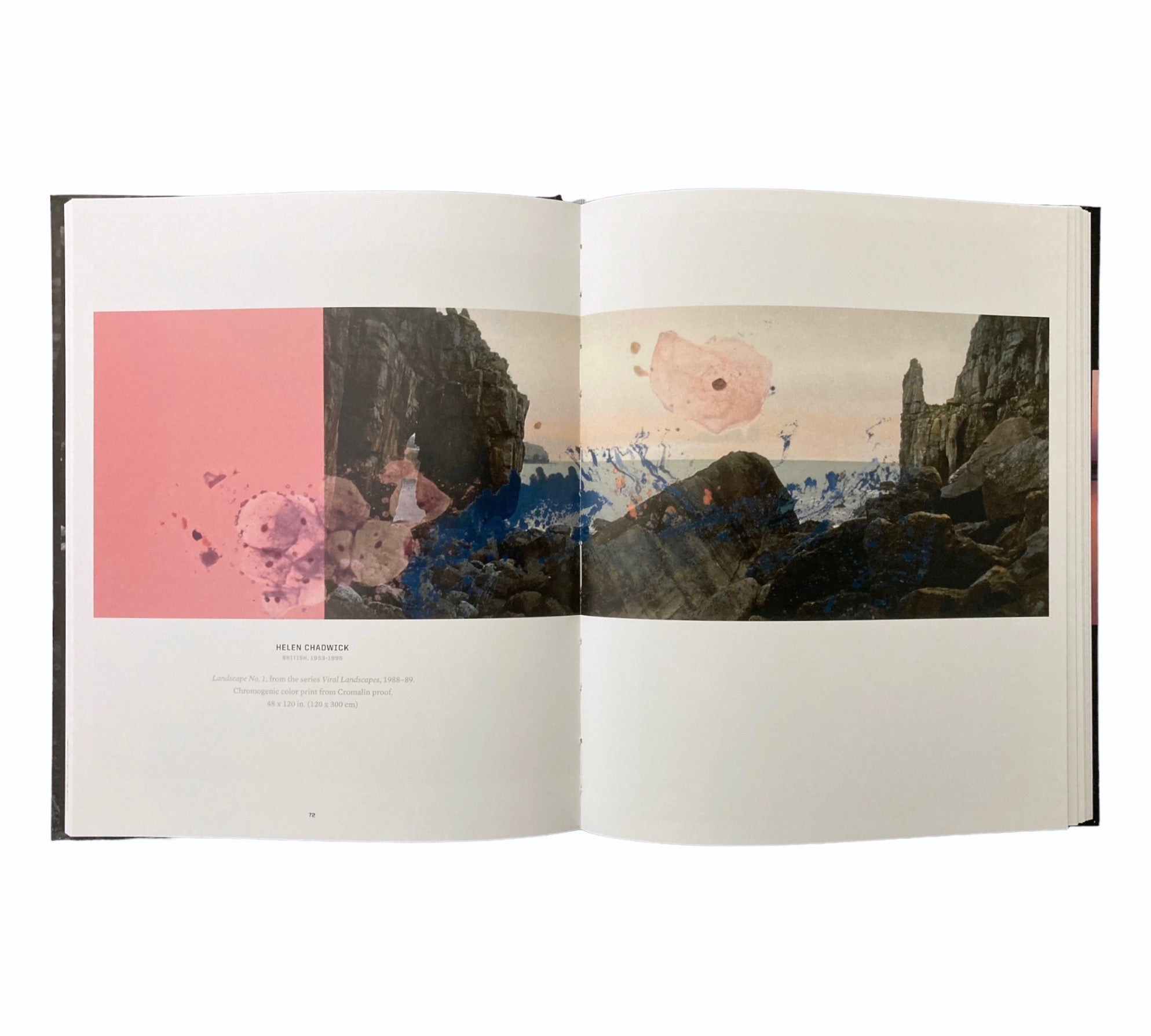 The Digital Eye: Photographic Art in the Electronic Age