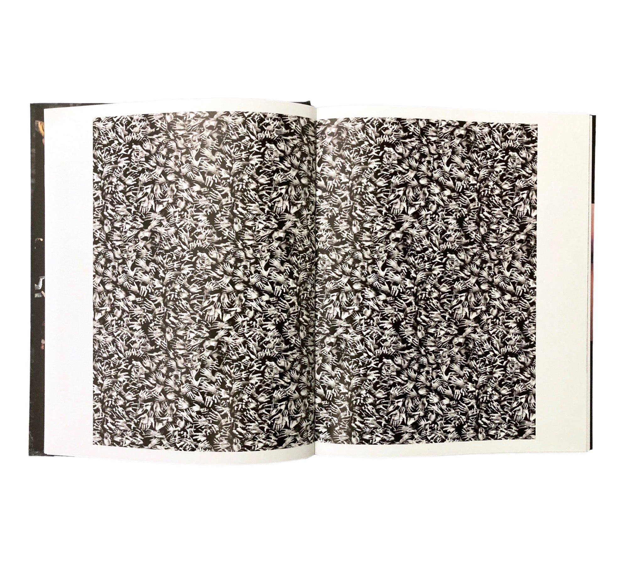 The Digital Eye: Photographic Art in the Electronic Age