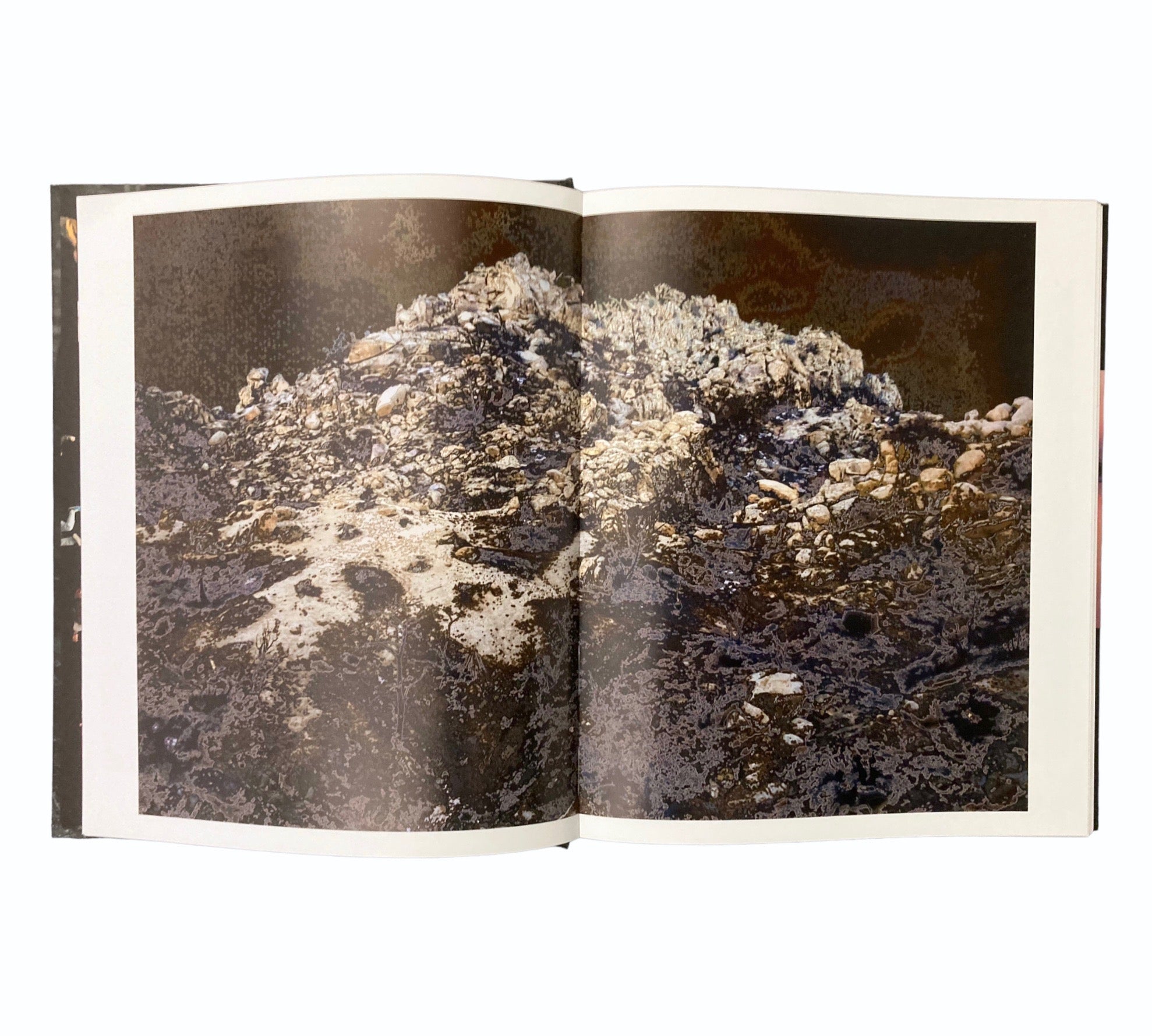 The Digital Eye: Photographic Art in the Electronic Age