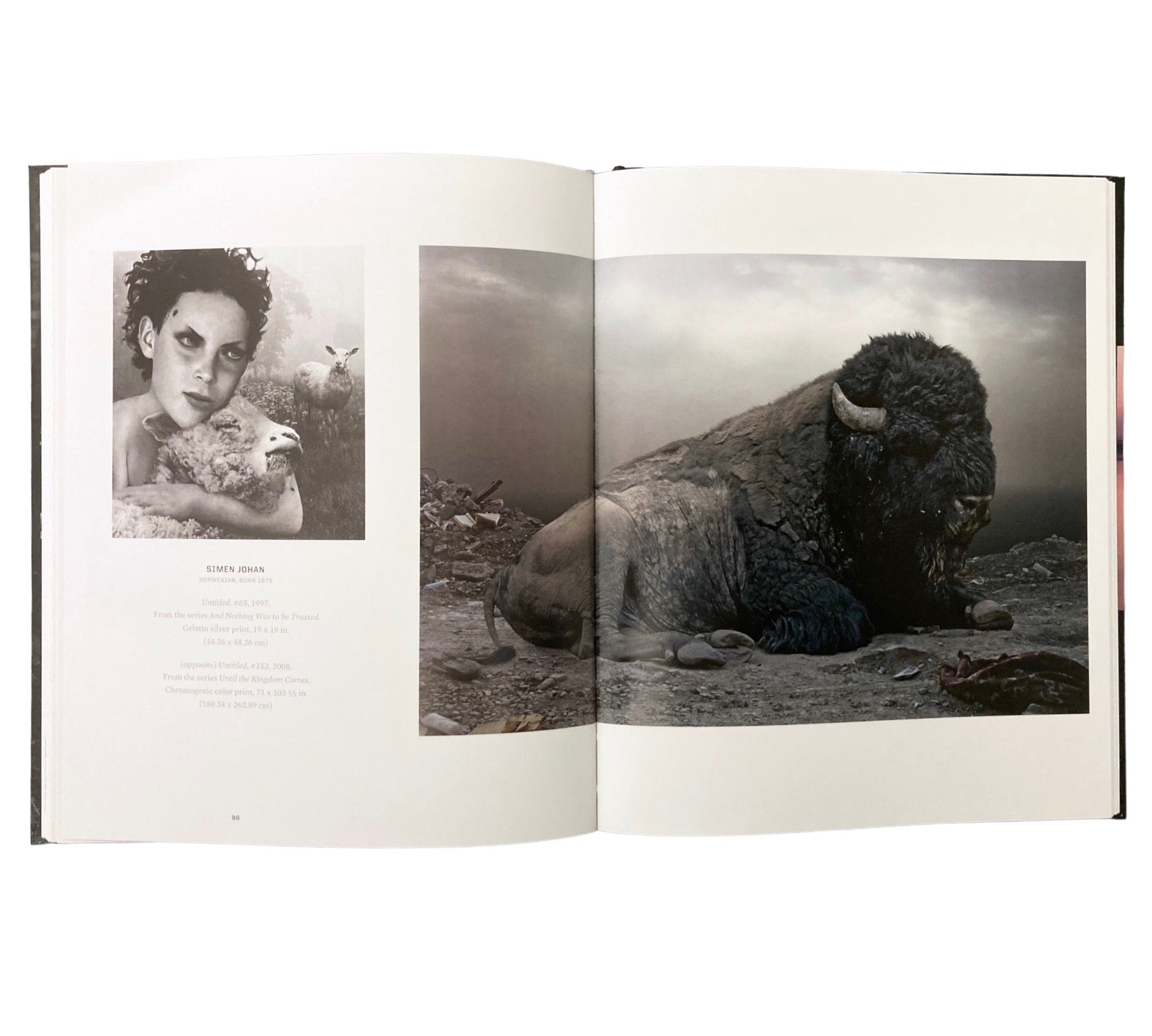 The Digital Eye: Photographic Art in the Electronic Age