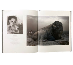 The Digital Eye: Photographic Art in the Electronic Age