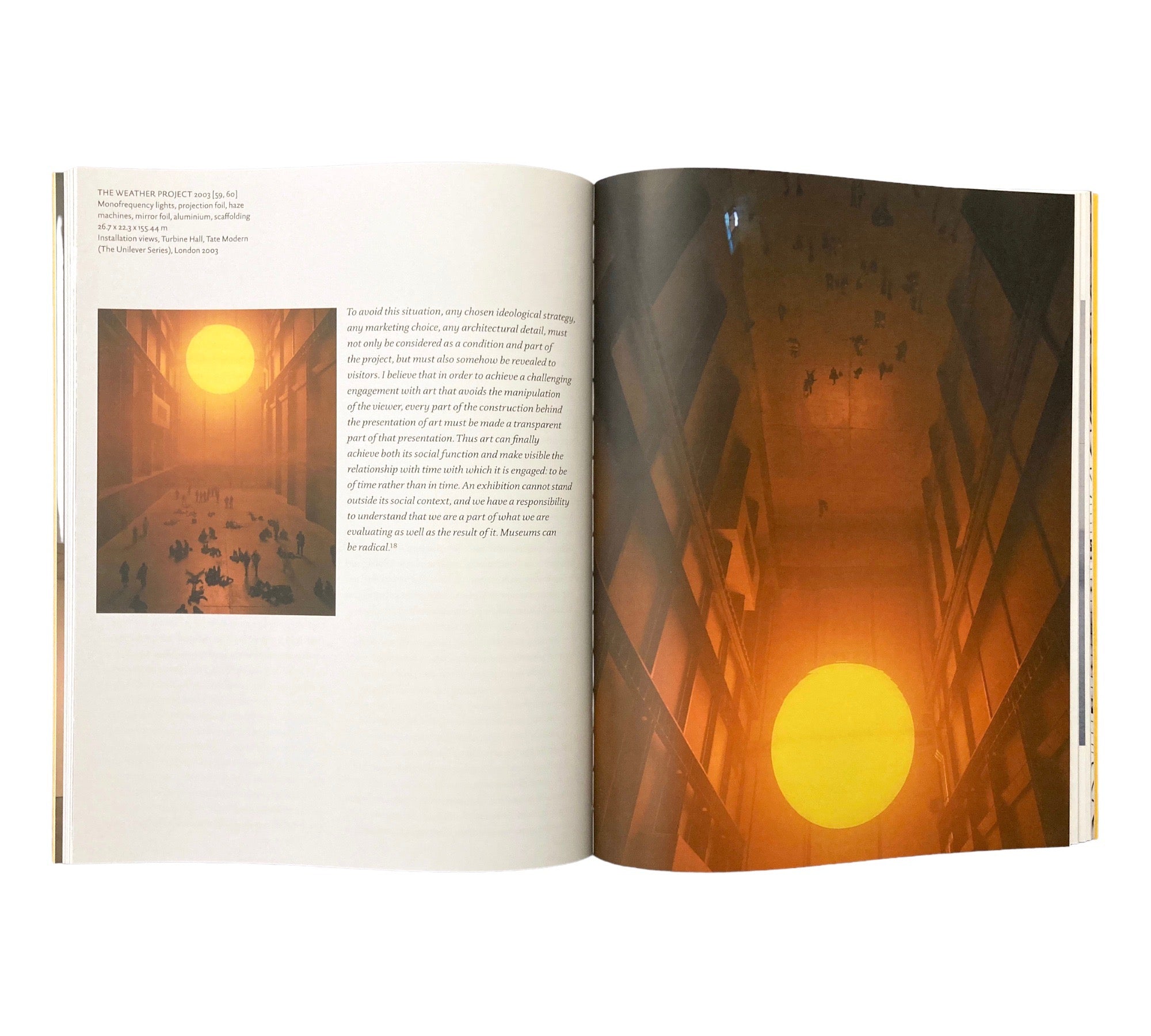 Olafur Eliasson (Modern Artists Series)