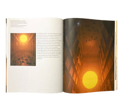 Olafur Eliasson (Modern Artists Series)