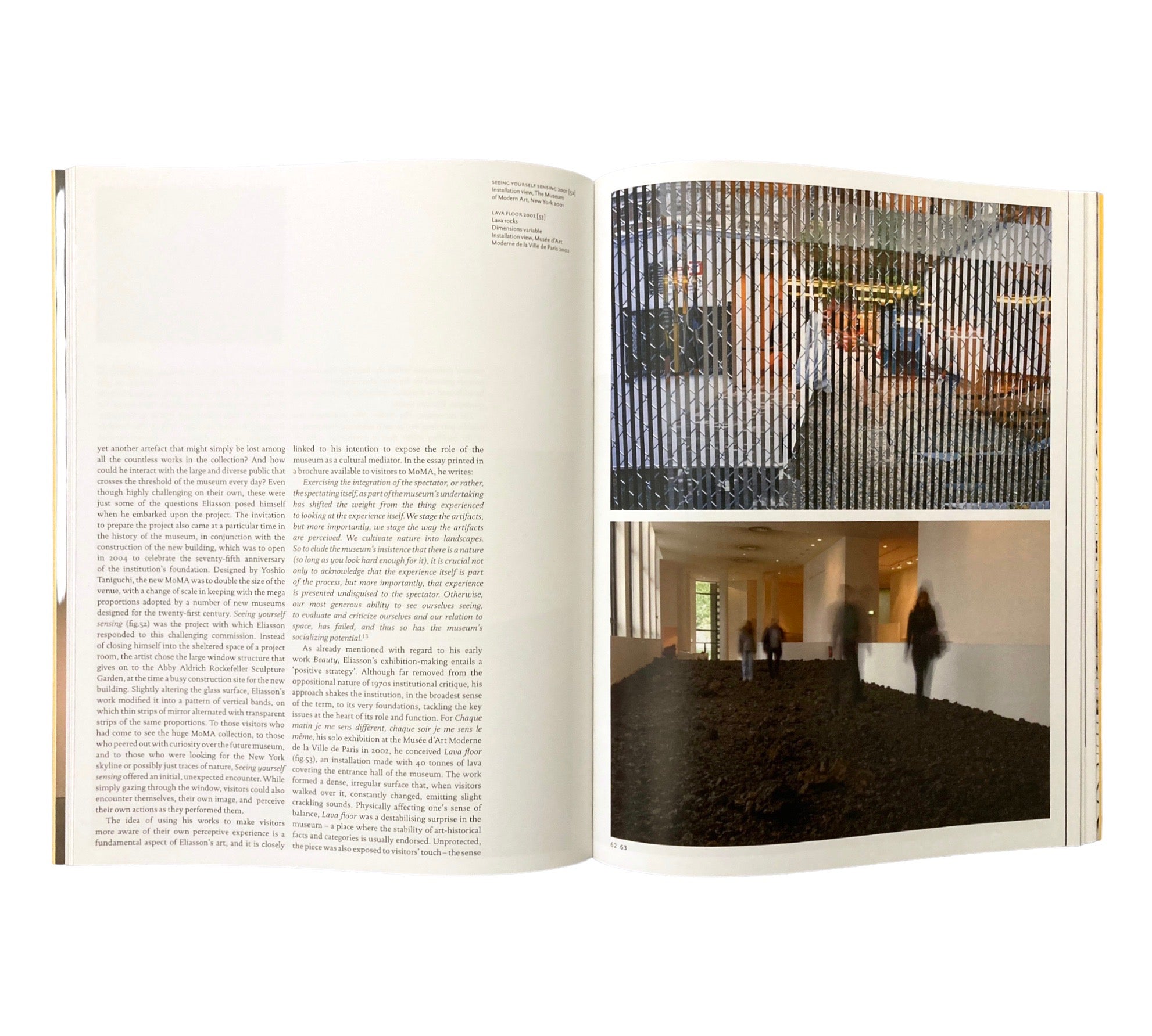 Olafur Eliasson (Modern Artists Series)