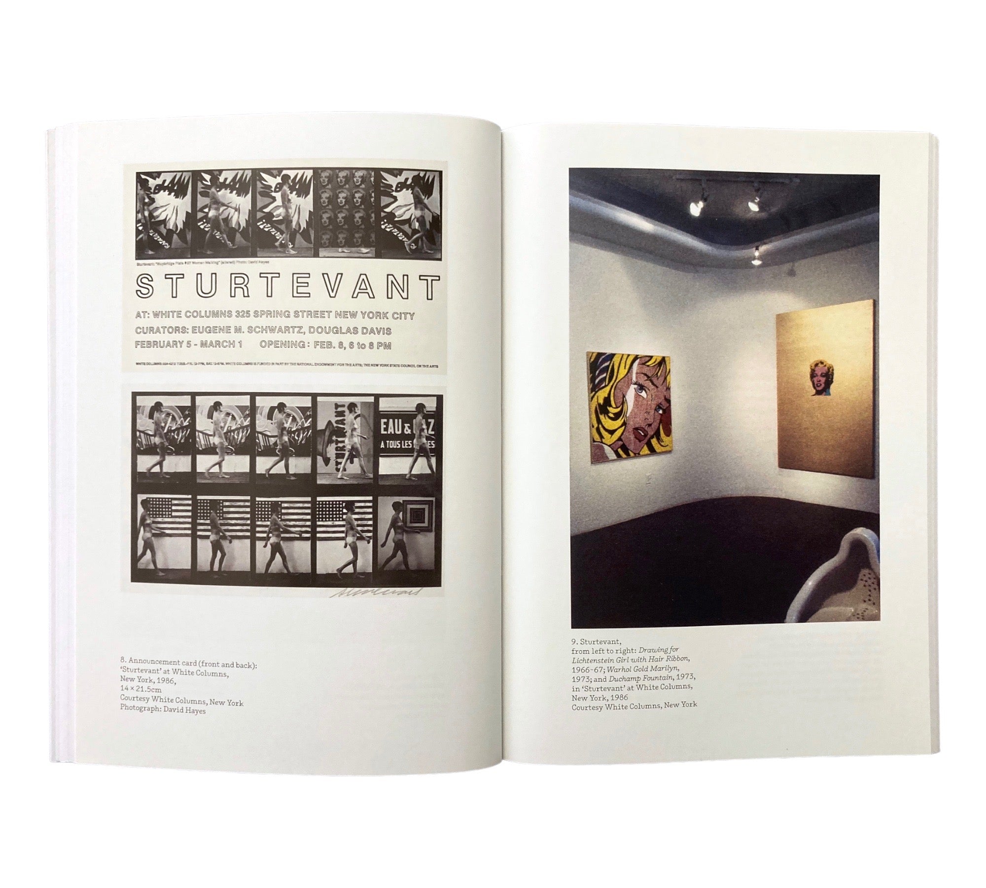 Sturtevant: Warhol Marilyn (One Work)