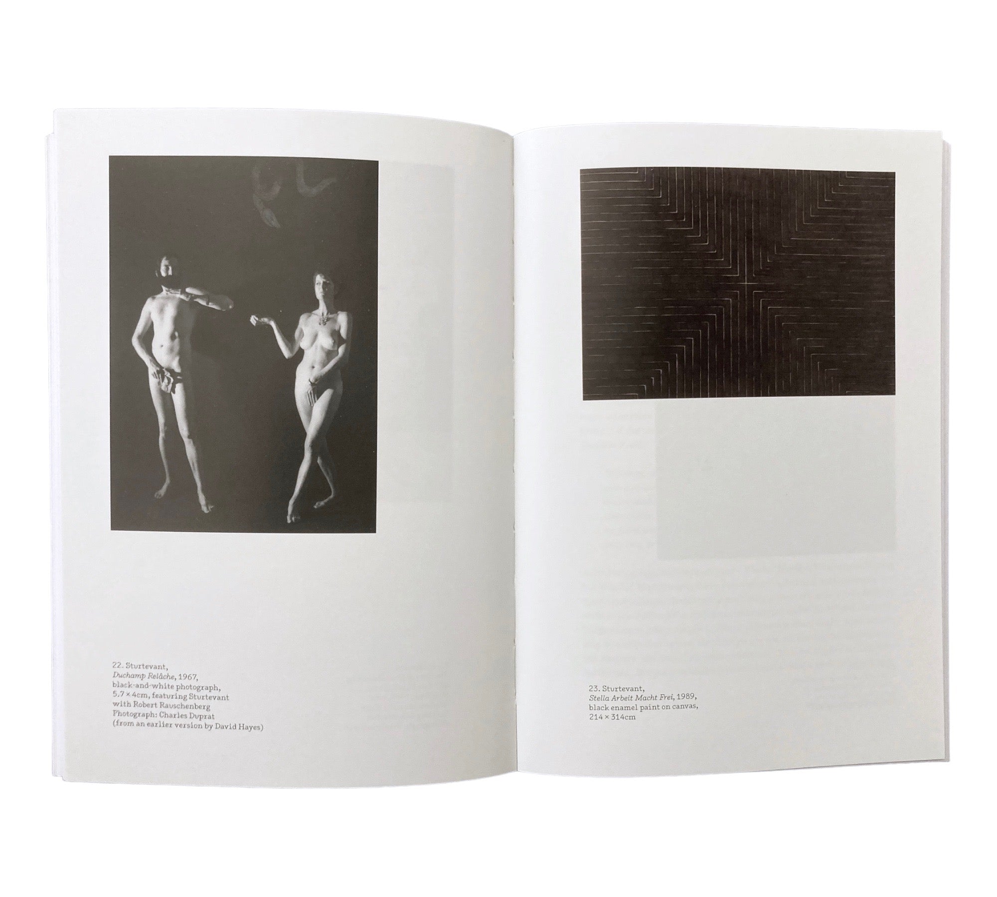 Sturtevant: Warhol Marilyn (One Work)