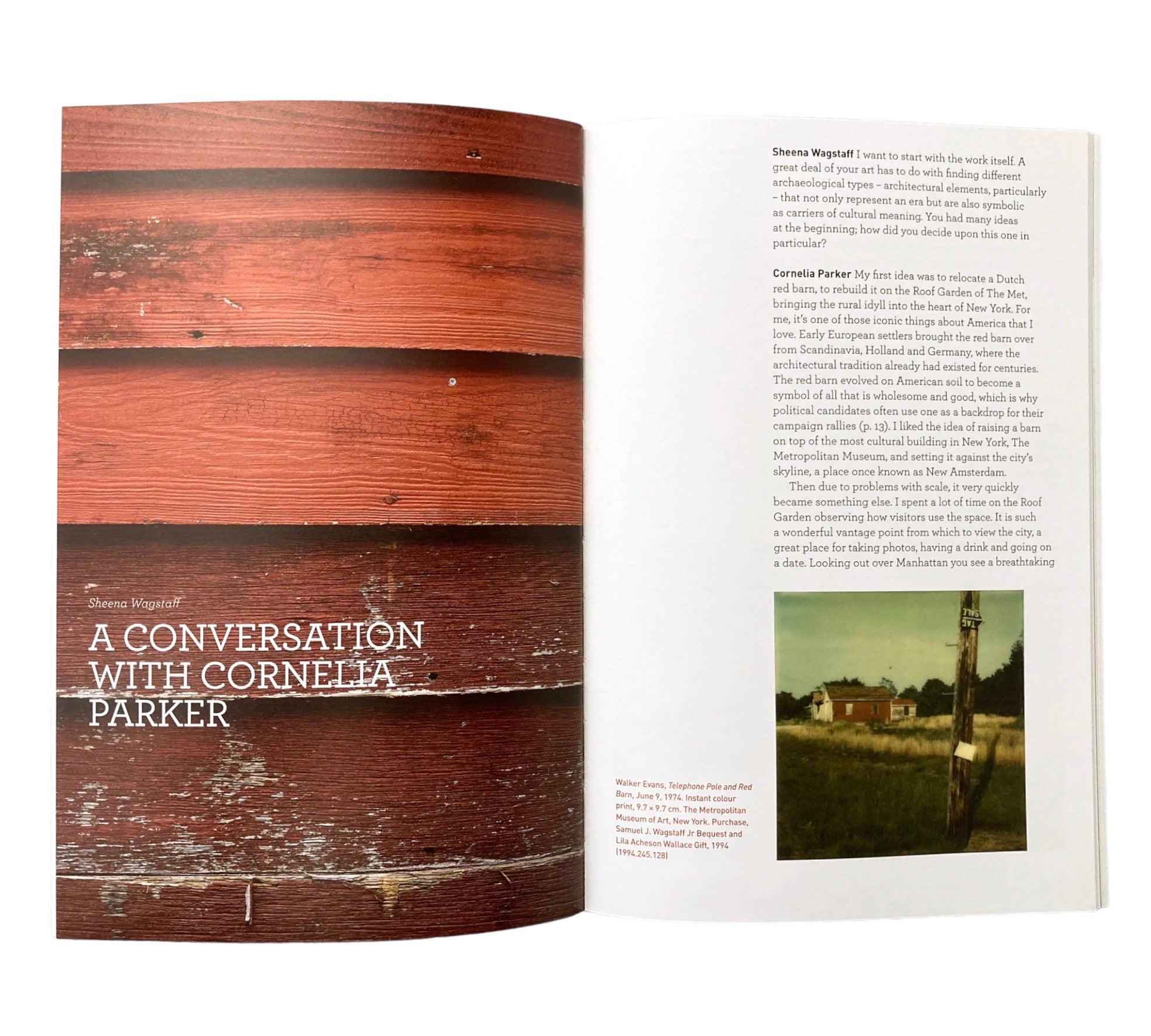 Cornelia Parker: Transitional Object (PsychoBarn)