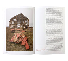 Cornelia Parker: Transitional Object (PsychoBarn)