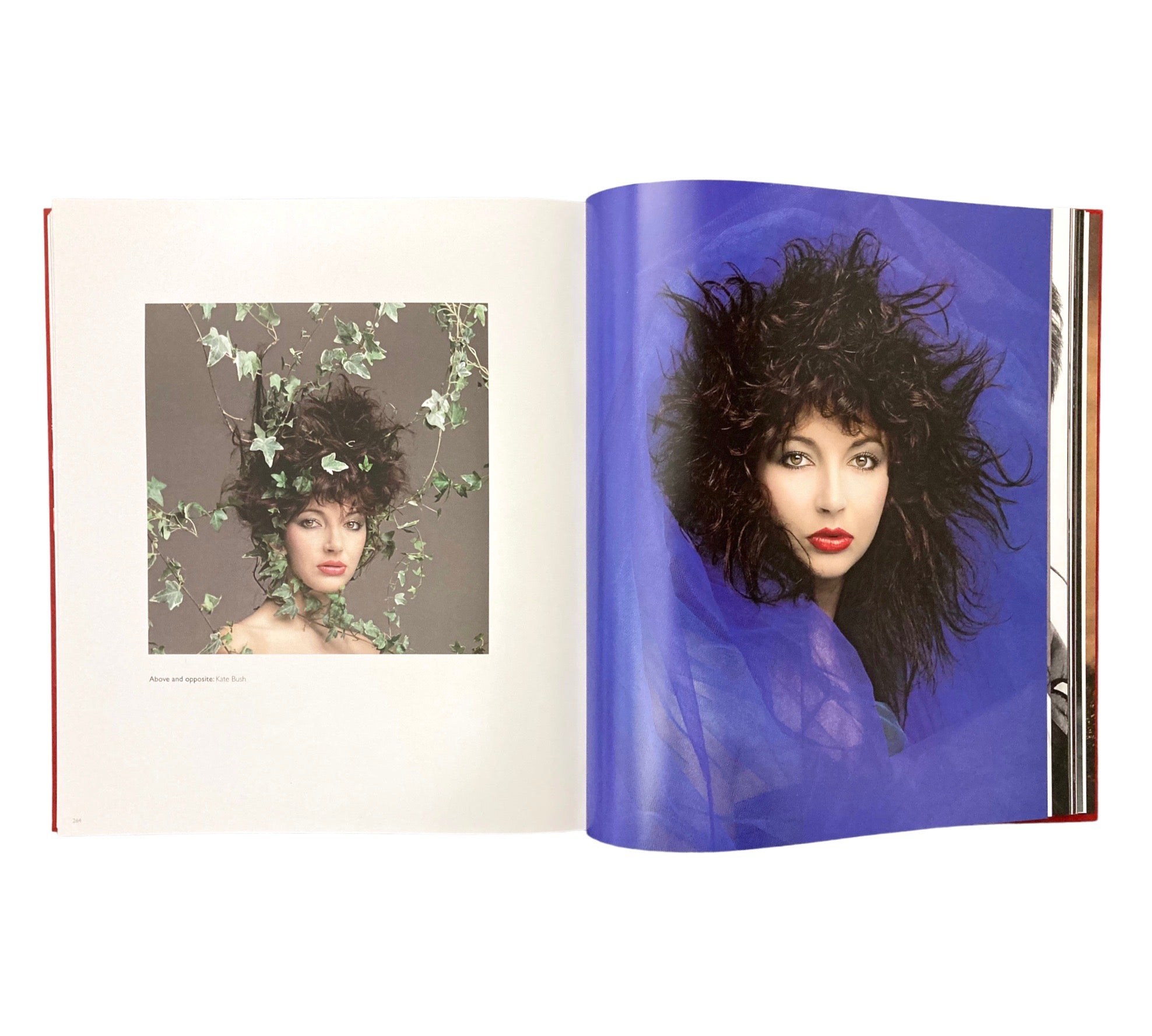 Arrowsmith: Fashion, Beauty & Portraits